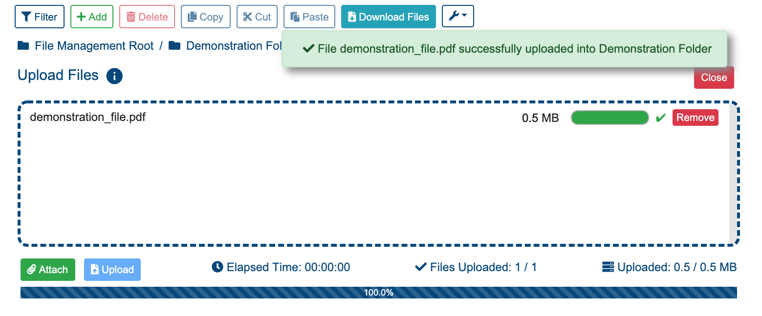 successful_upload.png