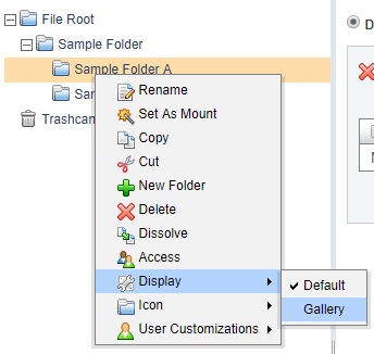 Gallery view selection.jpg