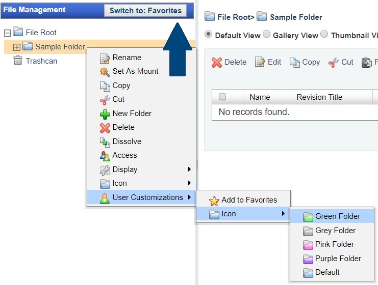 Folder customization.jpg